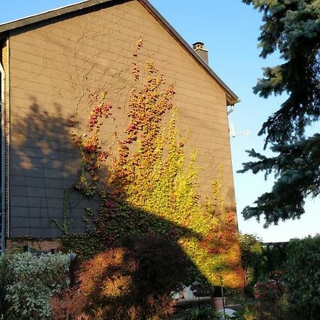 Ursula'S Ferienwohnung Marpingen エクステリア 写真