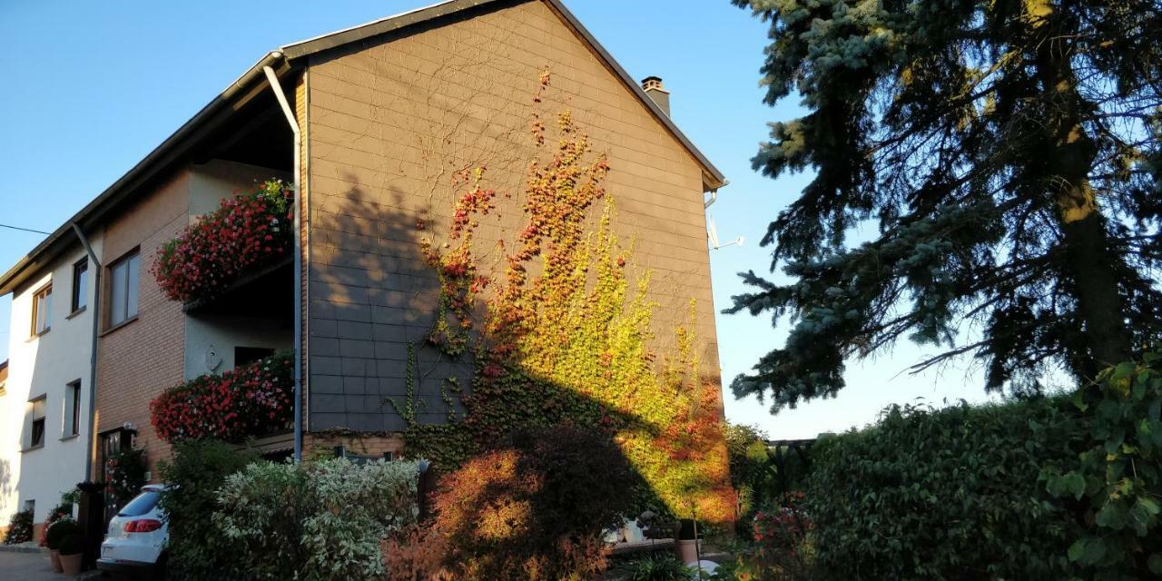 Ursula'S Ferienwohnung Marpingen エクステリア 写真